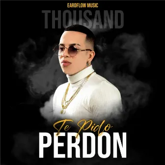 Te Pido Perdón by Thousand