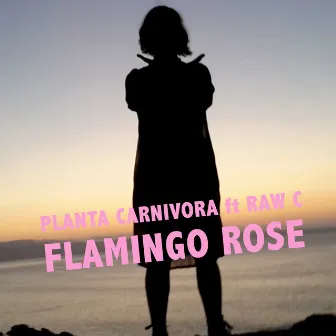 Flamingo Rose by Planta Carnívora