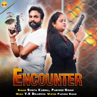 Encounter by Sunita Karnal