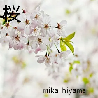 桜 by mika hiyama