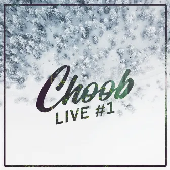 Bluebird (Live) by Choob