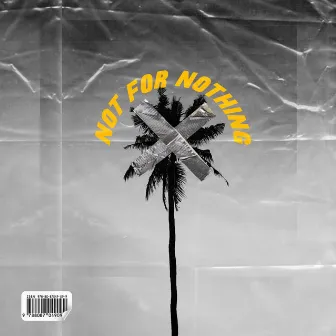 Not for Nothing by A'Y