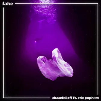 fake by chasefelloff