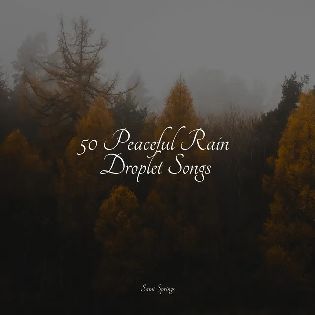 50 Peaceful Rain Droplet Songs