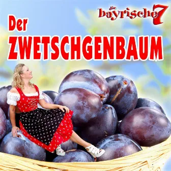 Der Zwetschgenbaum by Die Bayrische 7