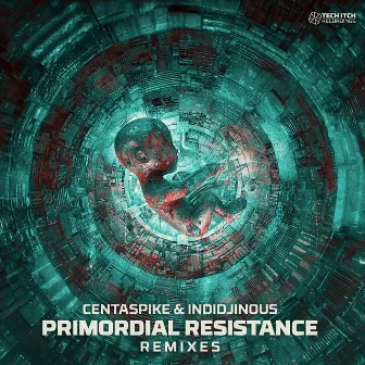 Primordial Resistance (Remixes) by Indidjinous