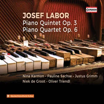 Labor: Piano Quintet in E Minor, Op. 3 & Piano Quartet in C Major, Op. 6 by Nina Karmon