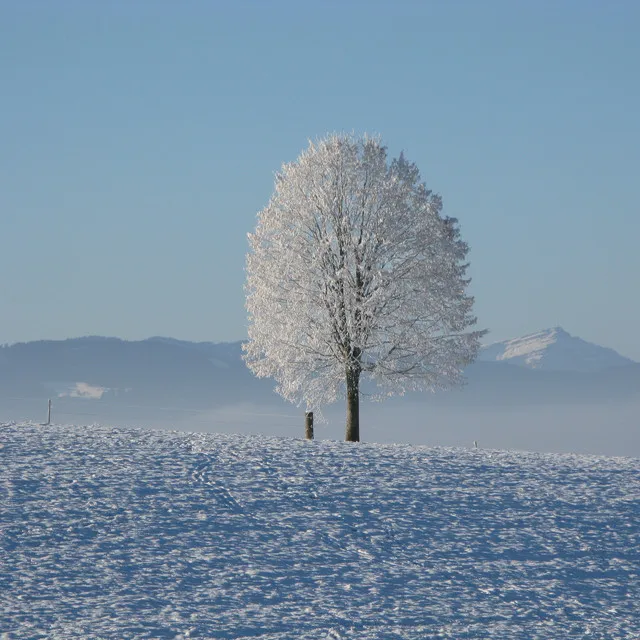 Winter Relax. Music for Evening Relax.