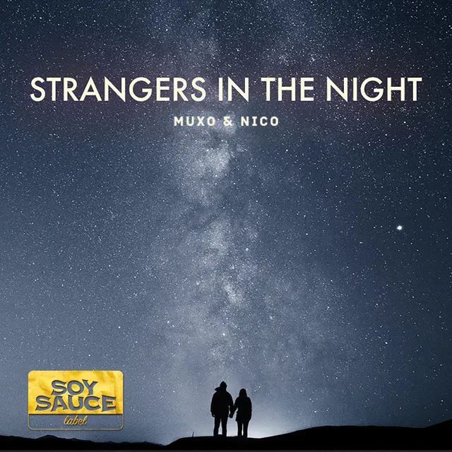 Strangers in The Night