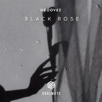 Black Rose by Groovez