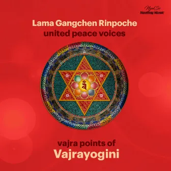 Vajra Points Of Vajrayogini by Lama Michel Rinpoche