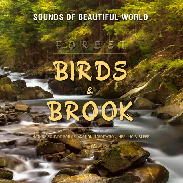 Forest: Birds & Brook (Nature Sounds for Relaxation, Meditation, Healing & Sleep)