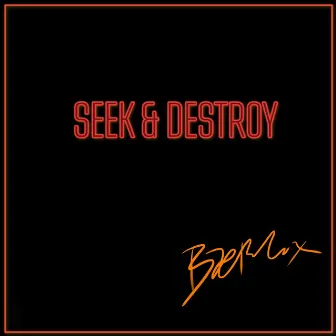 Seek & Destroy by Unknown Artist