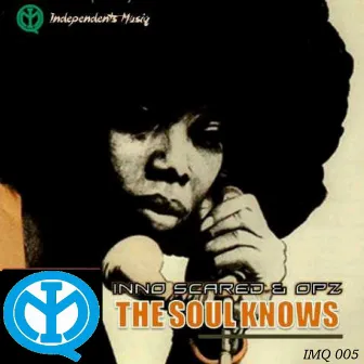 The Soul Knows by Opz