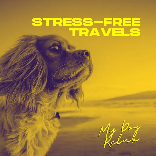 Stress-Free Travels