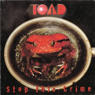 Stop This Crime by Toad