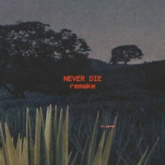 Never Die (Remake) by Lil Parkar