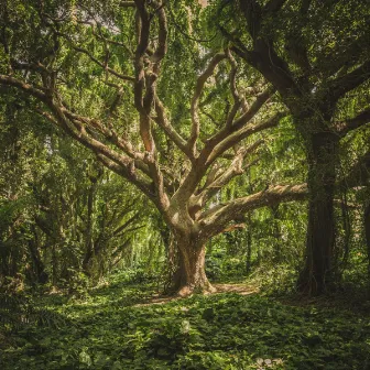 Nature Soundscapes: Early Morning Hiking by Unknown Artist