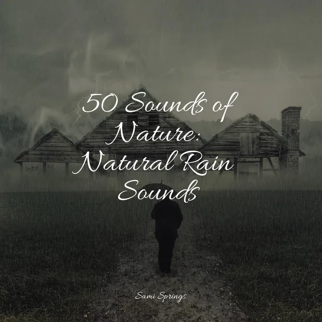 50 Sounds of Nature: Natural Rain Sounds