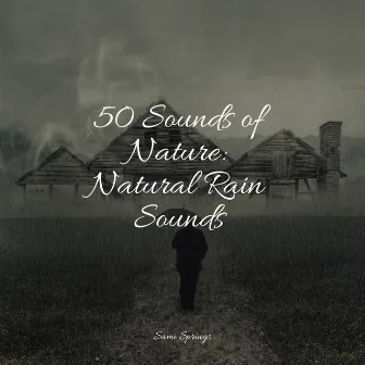 50 Sounds of Nature: Natural Rain Sounds by Sleep Music System