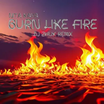 Burn Like Fire (DJ Zhuk remix) by NITA Kaya