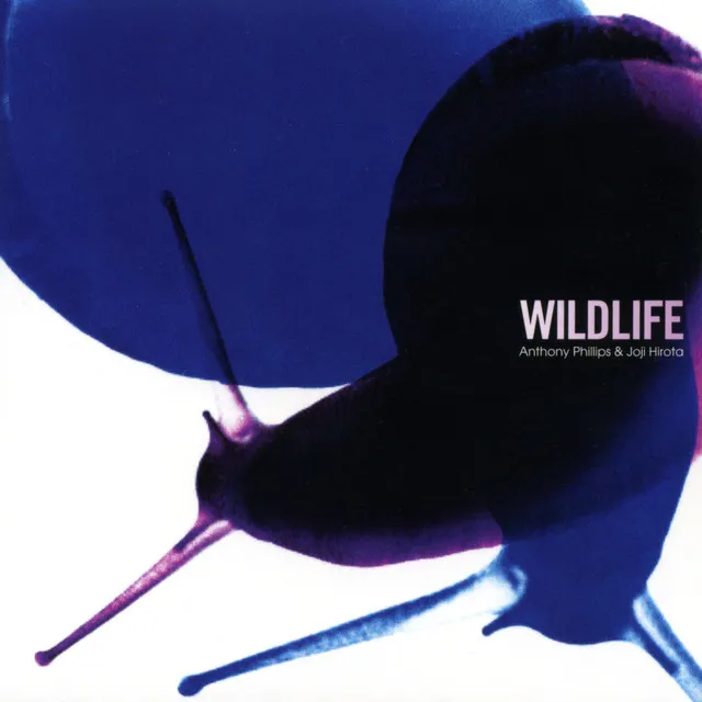 Wildlife (2023 Remaster)