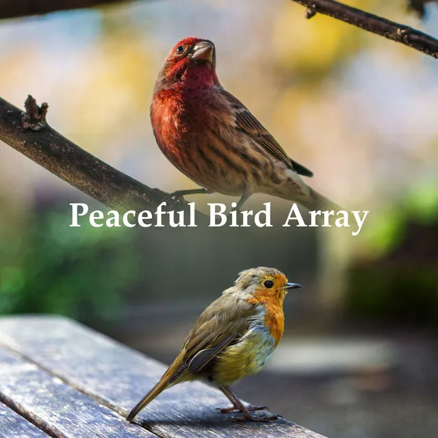 Peaceful Bird Array