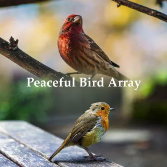 Peaceful Bird Array by Beatrice Birds