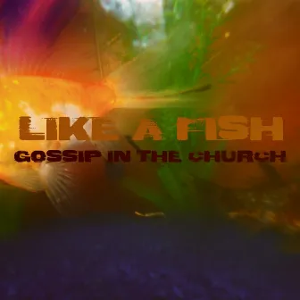 Like A Fish by Gossip In The Church