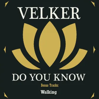 Do You Know by Velker