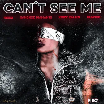 Can't See Me by Sanchez Diamante