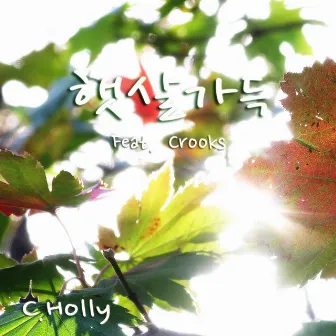 햇살가득 (Feat. Crooks) by C.Holly