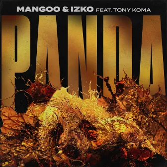 Panda (feat. Tony Koma) by IZKO