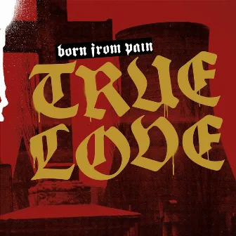 True Love by Born From Pain