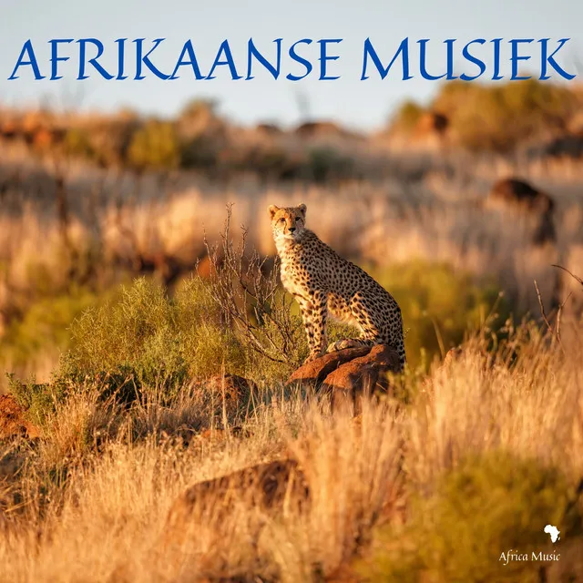 Afrikaanse Musiek