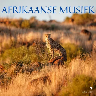 Afrikaanse Musiek by Africa Music