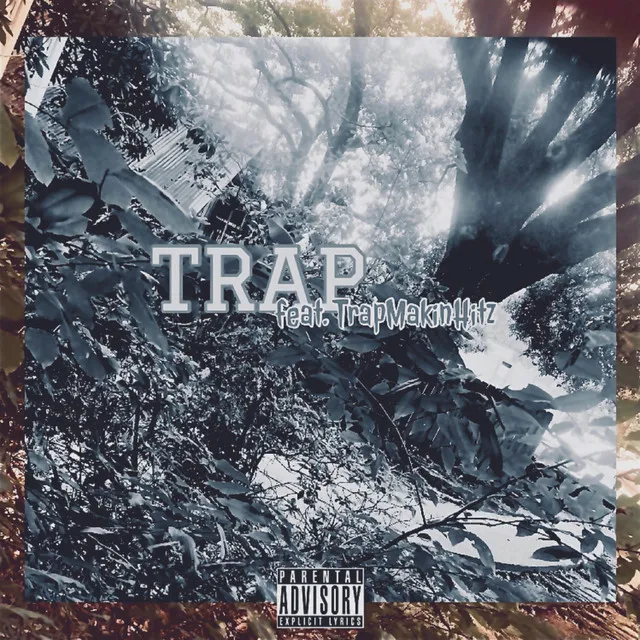 Trap