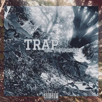 Trap by 95 Jax