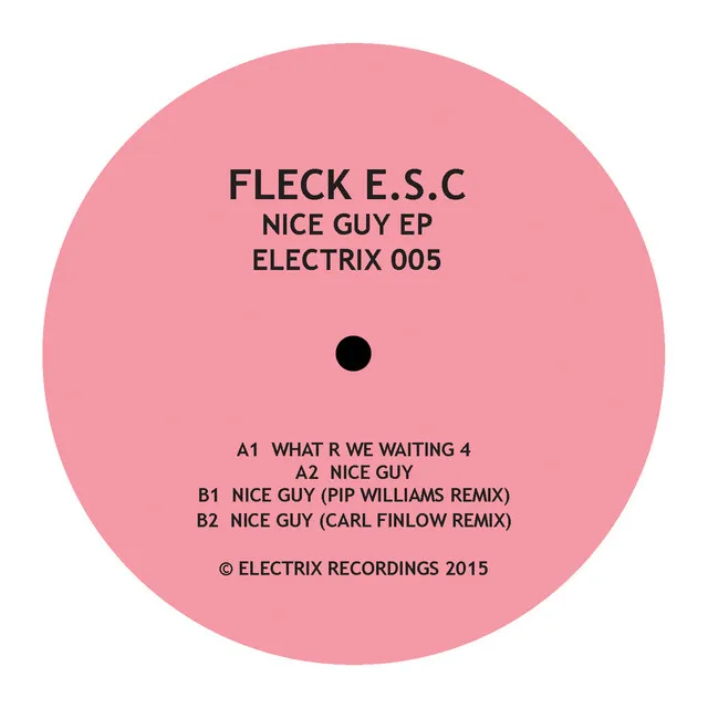 Nice Guy - Pip Williams Remix