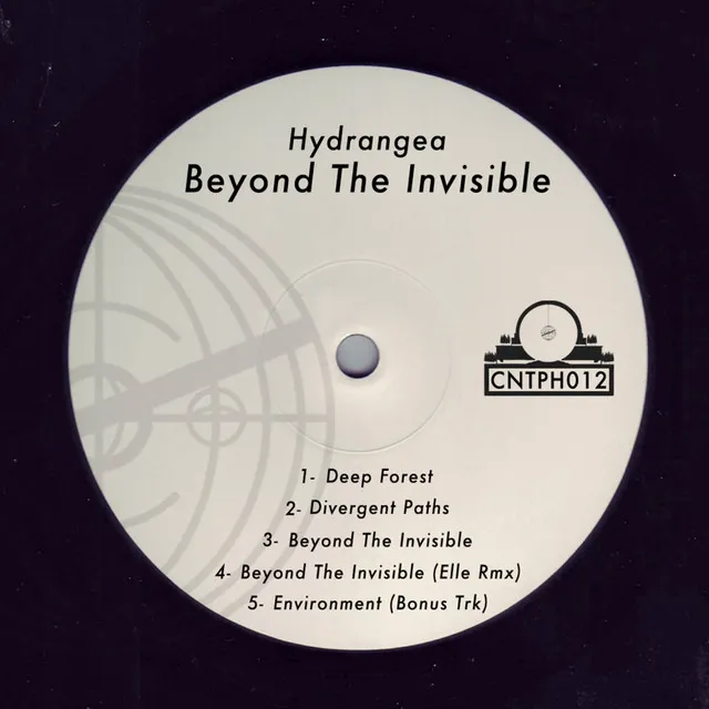 Beyond The Invisible - Elle Remix