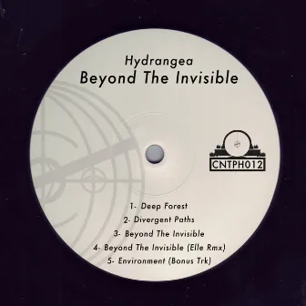 Beyond The Inviible by Hydrangea