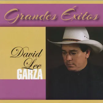 Grandes Exitos by David Lee Garza