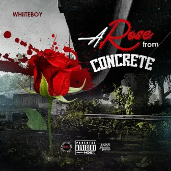 Arose from Concrete by Whiiteboy