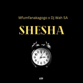 Shesha (feat. DJ Wah SA) by Mfumfanakagogo