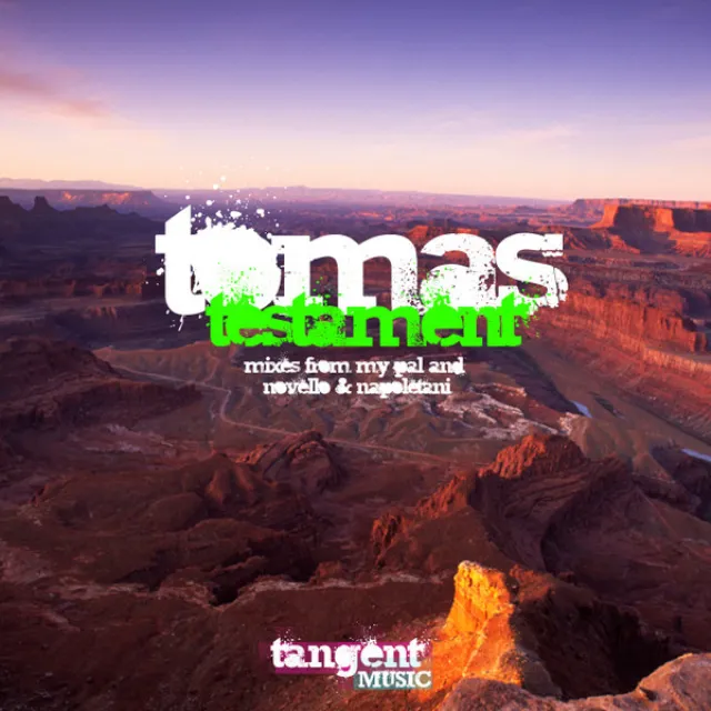 Testament (Tomas' Paranoid Dreamscape Remix)