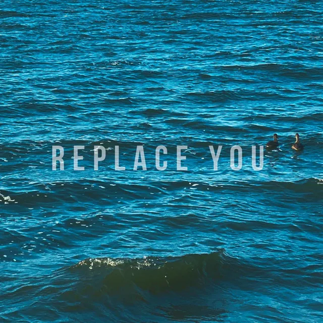 Replace You