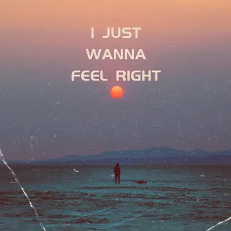 I Just Wanna Feel Right by Jayson Lenson