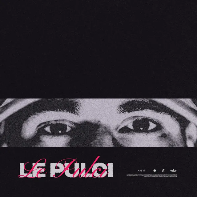 Le Pulci