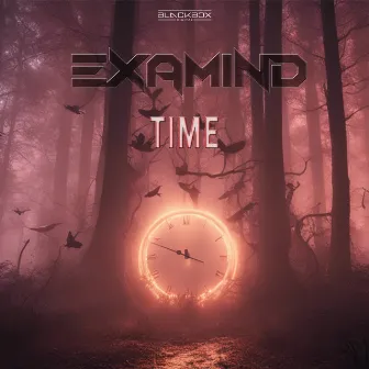 TIME by Examind