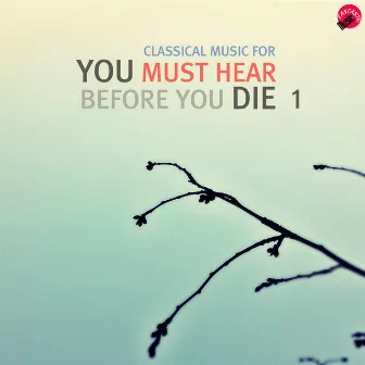 Classical music for You Must Hear Before You Die 1 by Bucket Classic